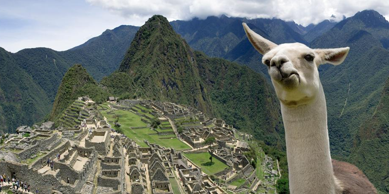 Travel away to Machu Picchu