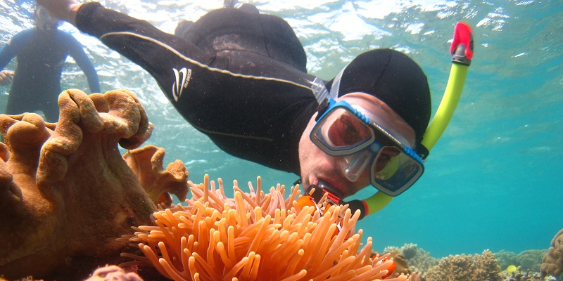 Travel away to Great Barrier Reef
